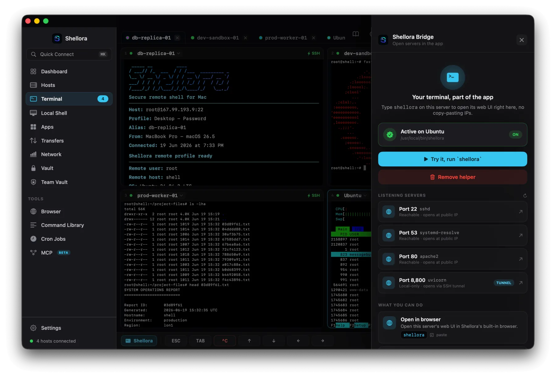 Shellme Bridge detecting listening servers and ports